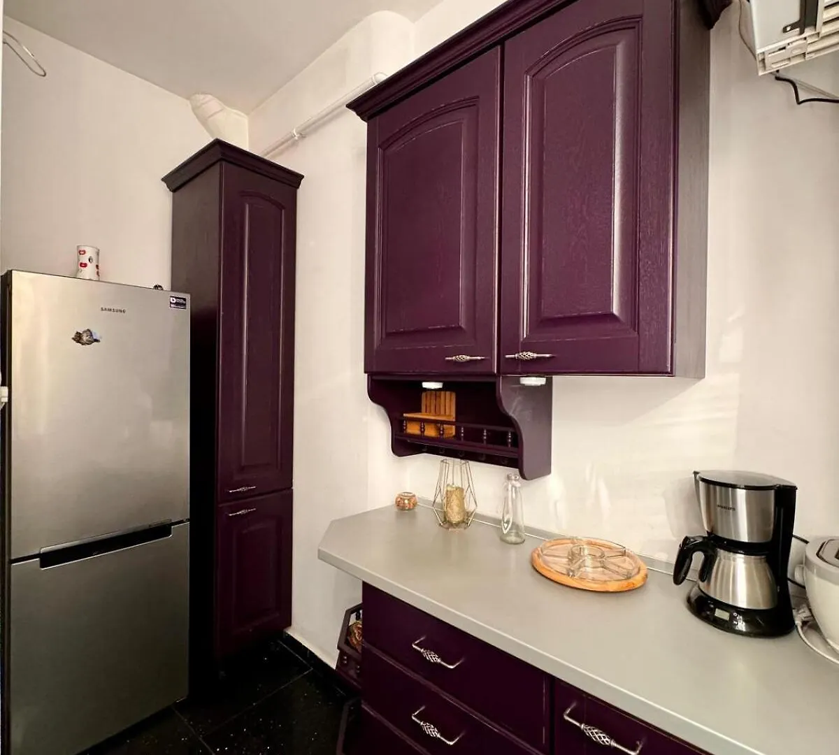 Ultra Central Villa Apartment Bucharest